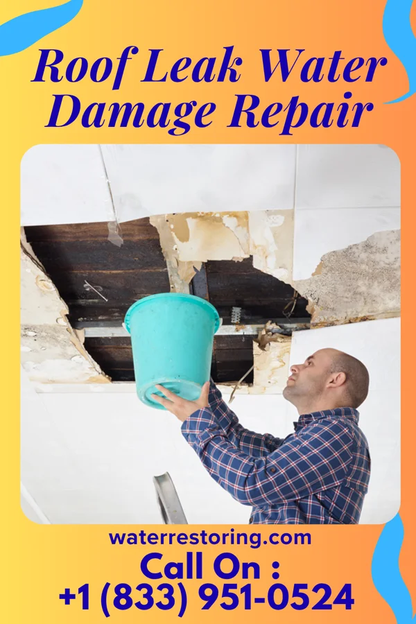 Roof Leak Water Damage Repair in Edgecliff Village, TX